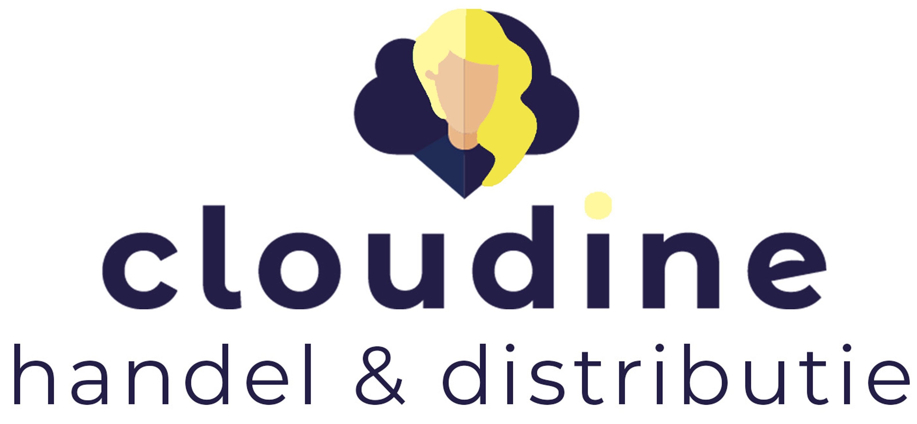 Cloudine - handel & distributie | Fourtop ICT