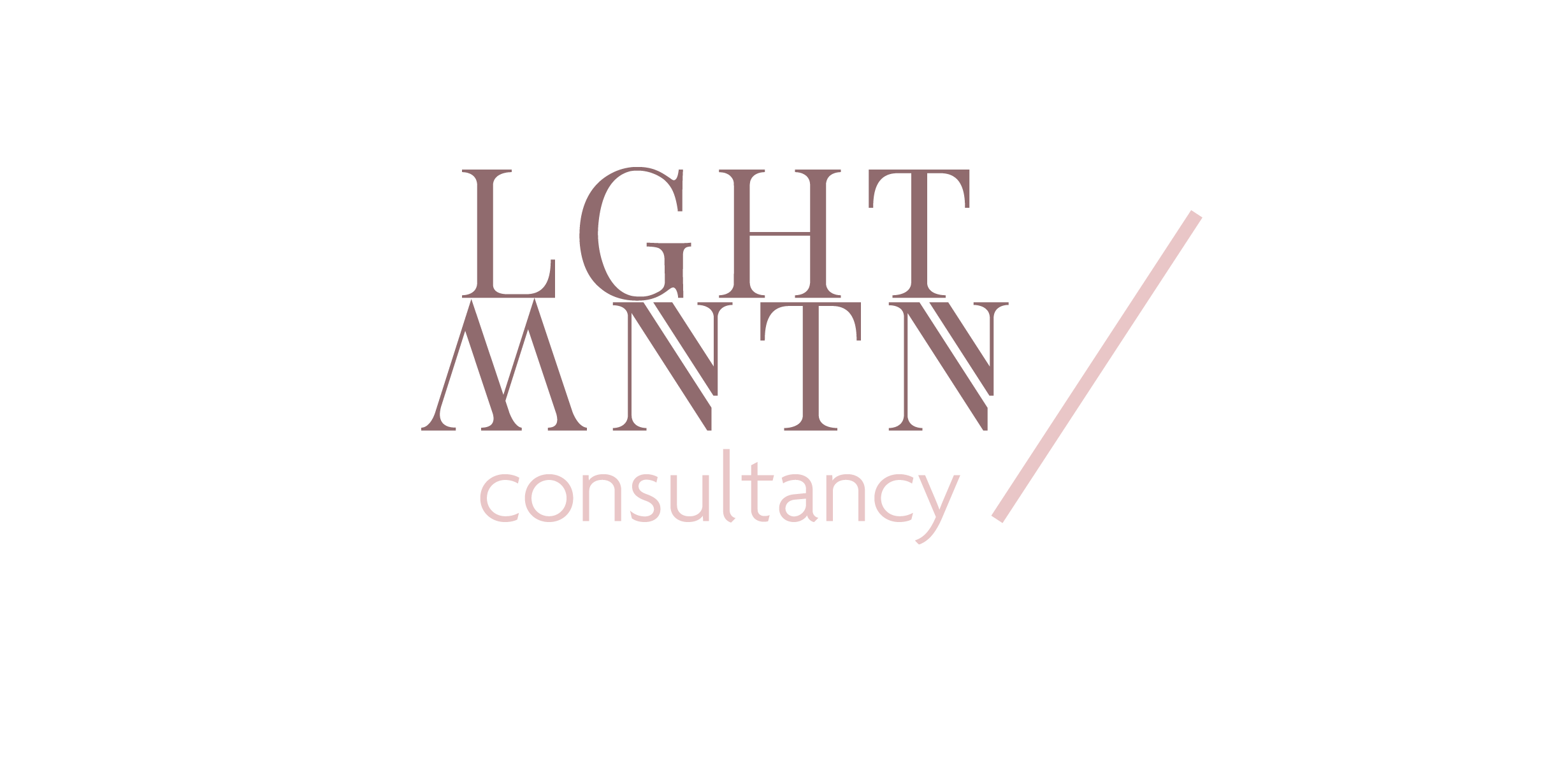 Lightmountain Consultancy | Partnercase Fourtop ICT